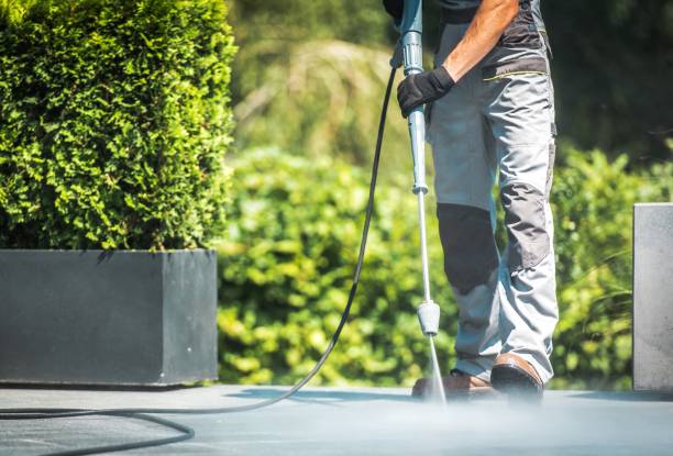 Best Solar Panel Cleaning  in Jersey Shore, PA